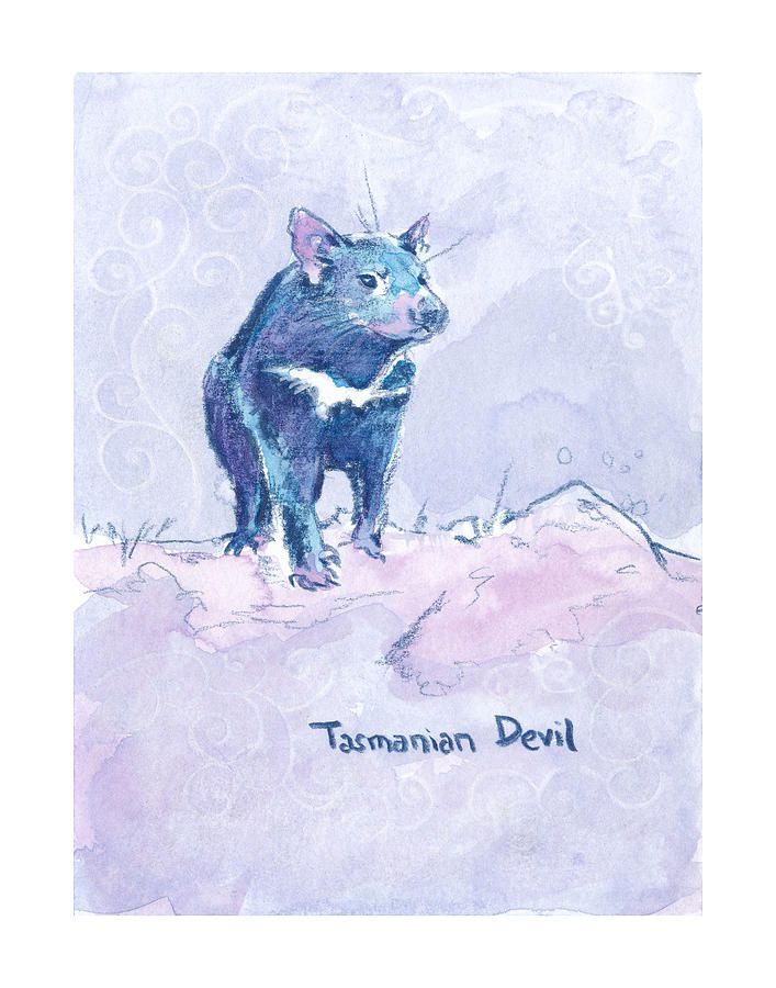Tasmanian Devil Zooly 2019 Drawing