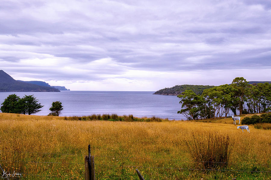 Tasmanian Landscape Photograph by Robert Libby