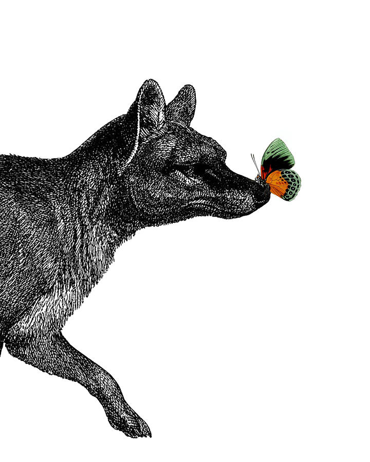 Butterfly Digital Art - Tasmanian tiger with butterfly by Madame Memento