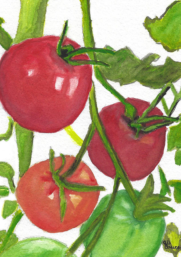 Taste of Summer Vine Ripe Tomatoes Watercolor Painting Painting by Ali Baucom