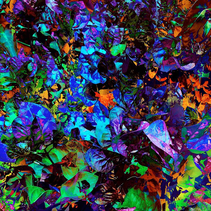 Taste of the Garden Digital Art by Fran Hogan Taste of the Garden Digital Art by Fran Hogan