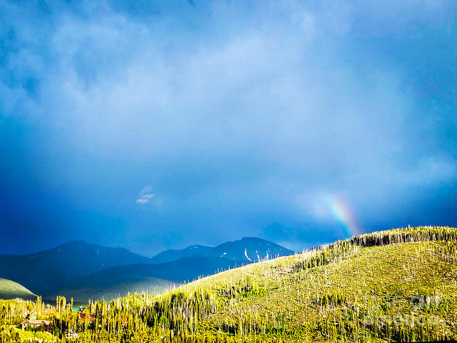 Tree Photograph - Taste the Rainbow by Saving Memories By Making Memories