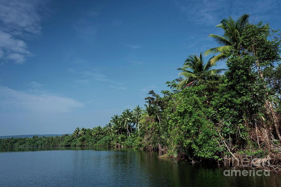 Tatai River Jungle Nature Landscape In Remote Cardamom Mountains ...