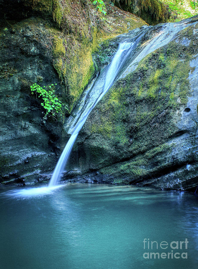 Tate Creek Natural Water Slide Photograph by Michele Hancock ...