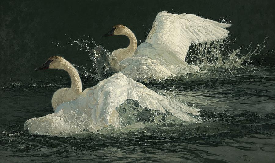 Swan Painting - Tatting by Greg Beecham