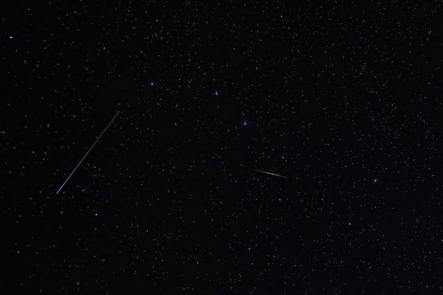 Tau Herculid Meteor And Satellites Photograph by Dale Kauzlaric