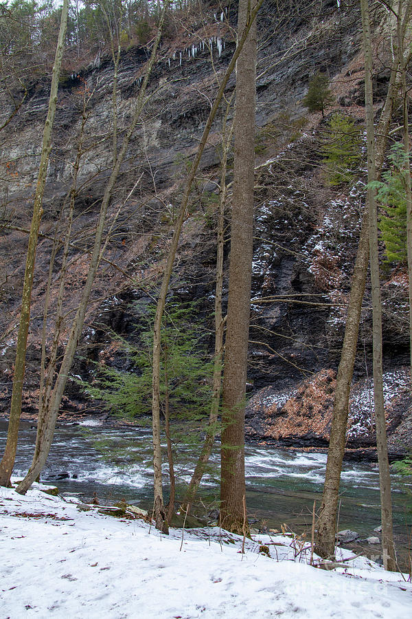 Taughannock Falls Gorge Trail 25 Photograph by William Norton