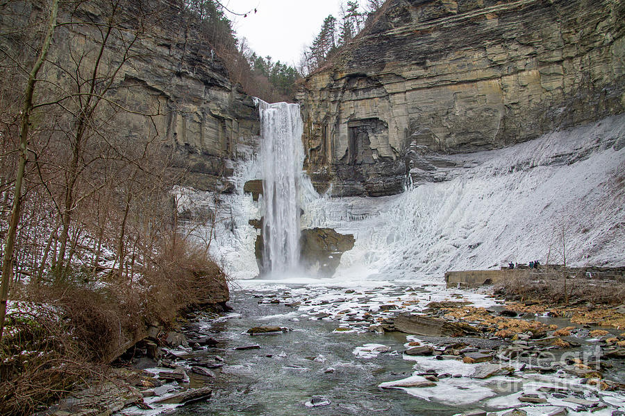 Taughannock Falls Gorge Trail 27 Photograph by William Norton