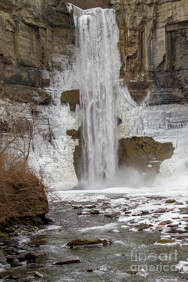Taughannock Falls Gorge Trail 28 Photograph by William Norton