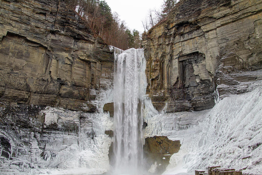Taughannock Falls Gorge Trail 30 Photograph by William Norton