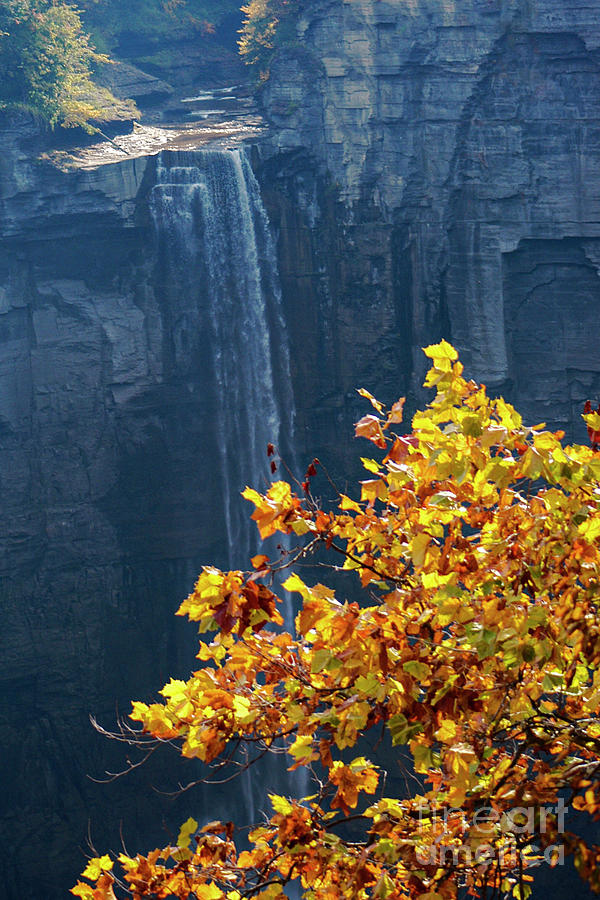 Taughannock Waterfall  Photograph by Bob Phillips