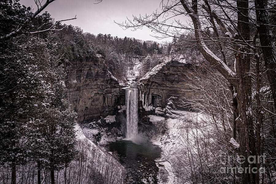 Taughannock Winter Photograph by William Norton