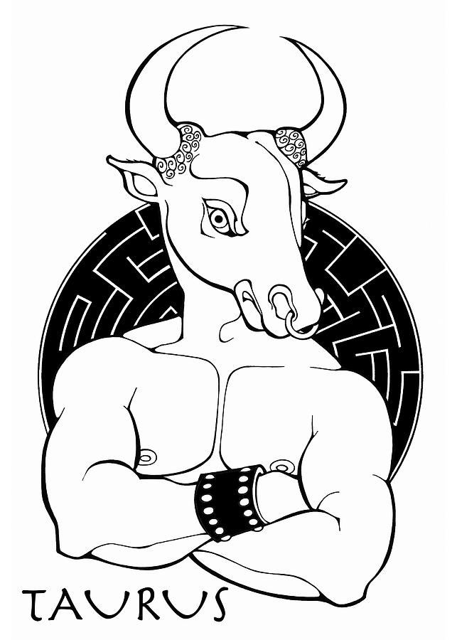 Taurus Drawing by Steven Stines