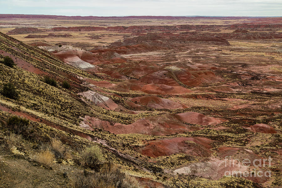Painted Desert National Park Photograph - Tawa Point  8b9213L by Stephen Parker