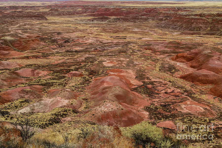Painted Desert National Park Photograph - Tawa Point 8b9214L by Stephen Parker