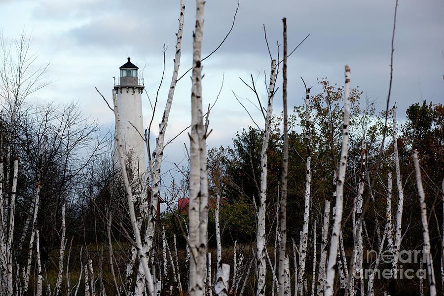 Tawas Point Lighthouse and Birch Trees III Photograph by Rich S