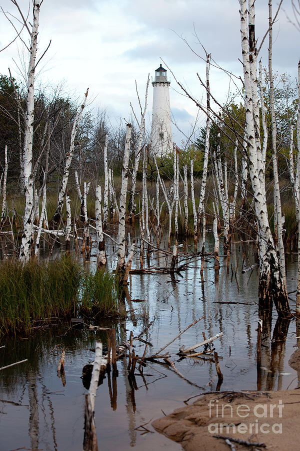 Tawas Point Lighthouse and Birch Trees V Photograph by Rich S