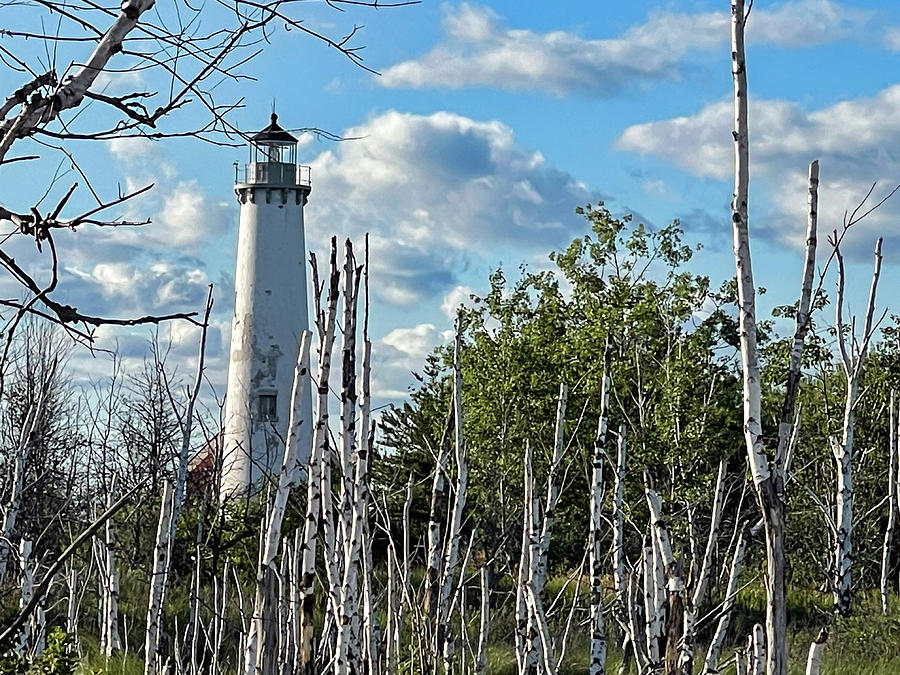 Tawas Point Lighthouse Photograph by Todd Smedstad