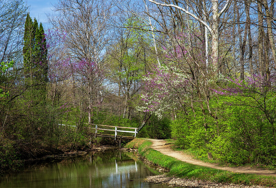 Tawawa Park In Spring Photograph by Dan Sproul Tawawa Park In Spring Photograph by Dan Sproul