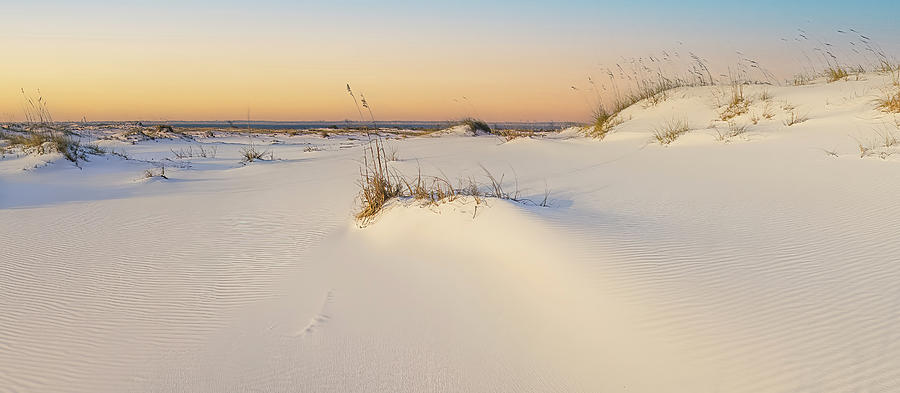 Gulf Islands National Seashore Photograph - Tawny Dunes by Bill Chambers