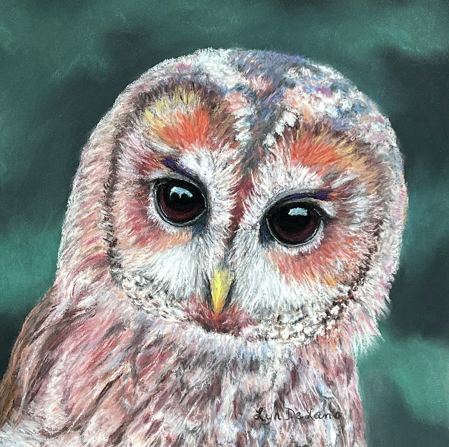 Tawny Owl Pastel by Lyn DeLano