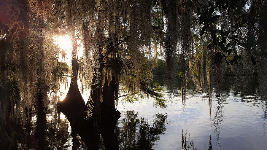 Tchefuncte Sunset Photograph by Jackson Harmeyer - Fine Art America