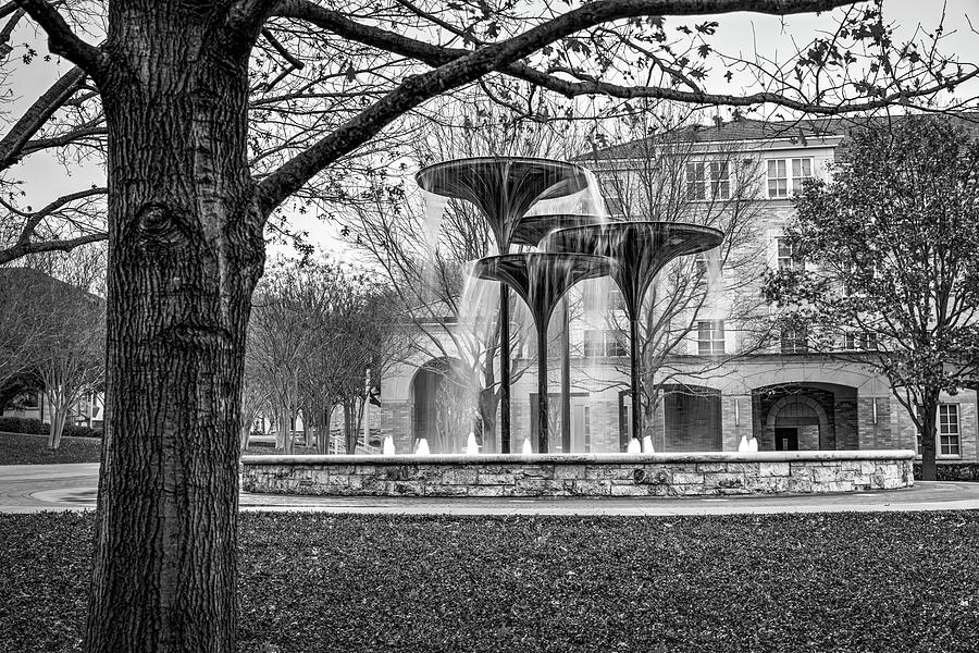 TCU Frog Fountain In Black and White - Fort Worth Texas Photograph by Gregory Ballos