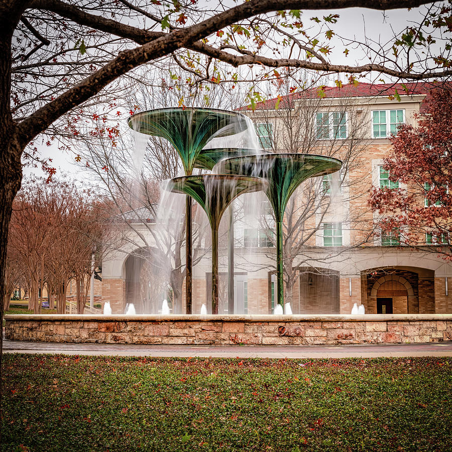TCU Frog Fountain Waters Photograph by Gregory Ballos