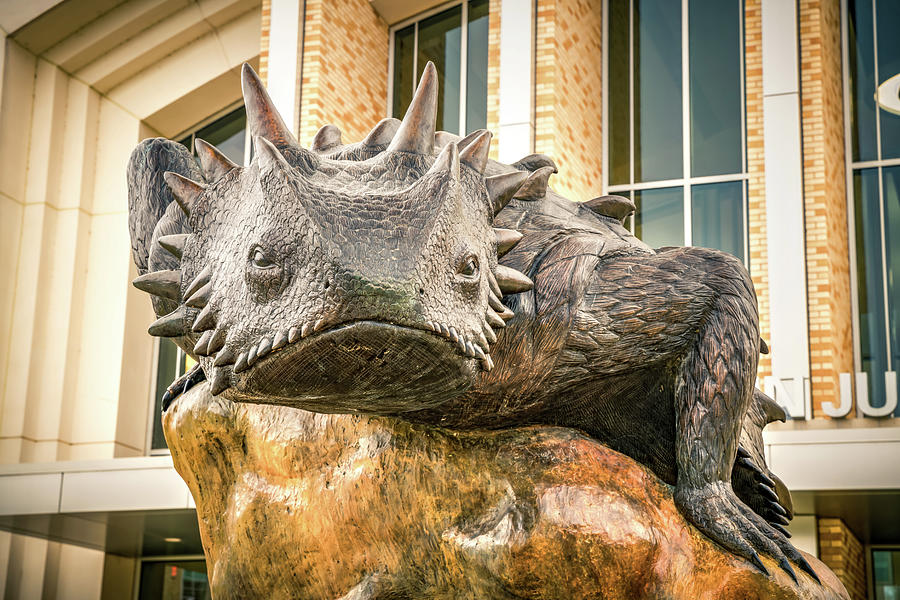 Crouching Frog Statue of Fort Worth Photograph by Gregory Ballos