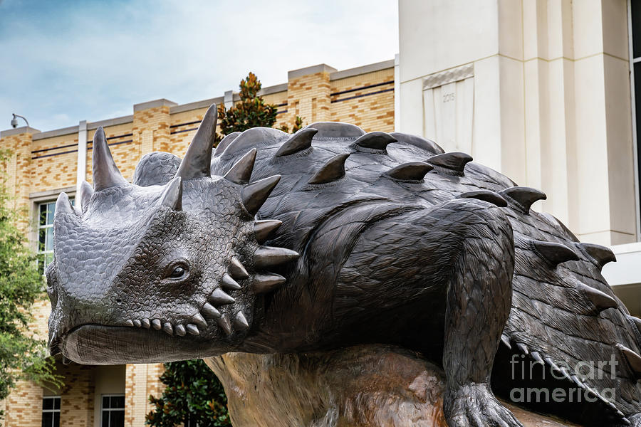 TCU Horned Lizard Mascot Photograph by Bee Creek Photography - Tod and Cynthia