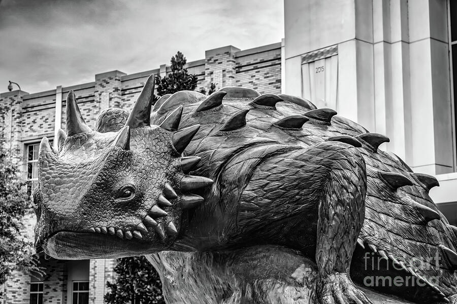 TCU Horned Lizard Mascot BW Photograph by Bee Creek Photography - Tod and Cynthia