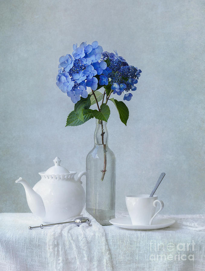 Tea and Hydrangeas Photograph by Diane Diederich