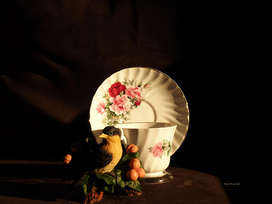 Tea Bird Photograph by Richard Thomas