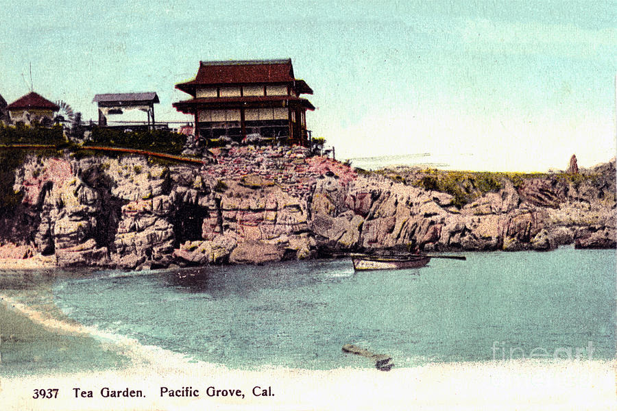 Japanese Photograph - Tea Garden, Pacific Grove, Cal. Circa 1904 by California Views Archives Mr Pat Hathaway Archives