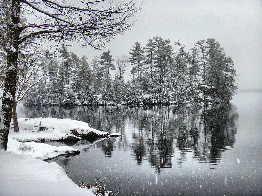 Tea Island Winter Reflections Photograph by Russ Considine