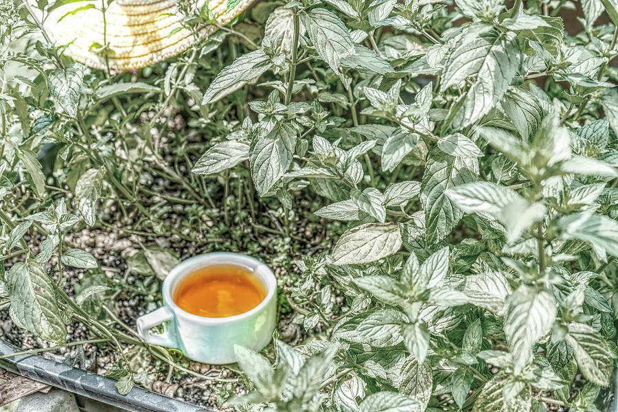 Tea Leaves Photograph