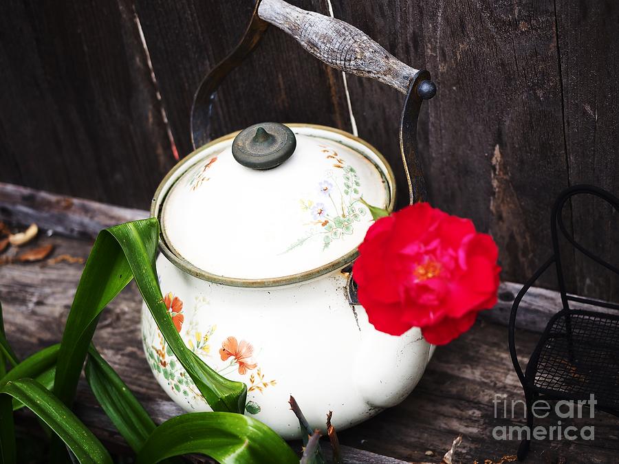 Tea Pot Mini Red Rose Photograph by Richard Thomas