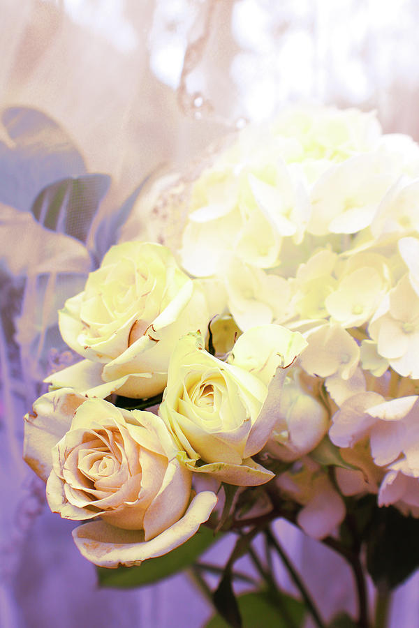 Tea Roses and Hydrangea  Photograph by W Craig Photography