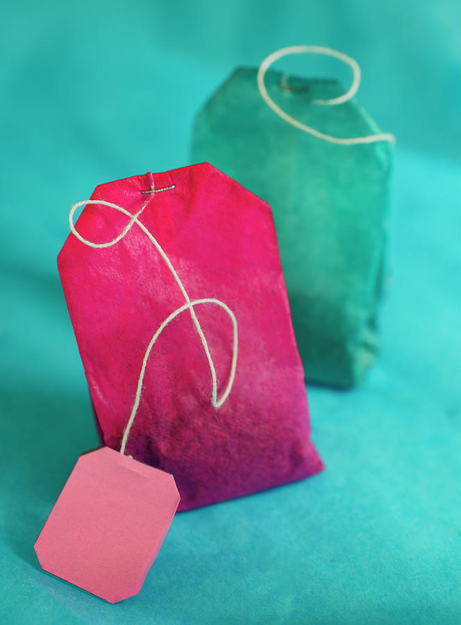 Teabag Tango in Pink and Teal Photograph by Iris Richardson