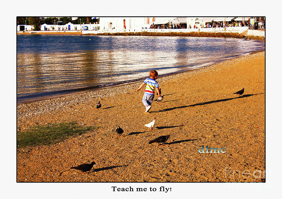 Teach Me to Fly Photograph by Donna L Munro