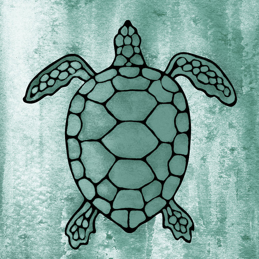 sea tortoise drawing