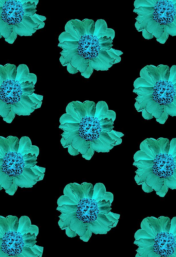 Teal Peonies on Black Photograph by Diane Lindon Coy