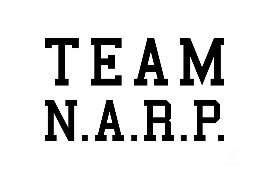 Team Narp Digital Art