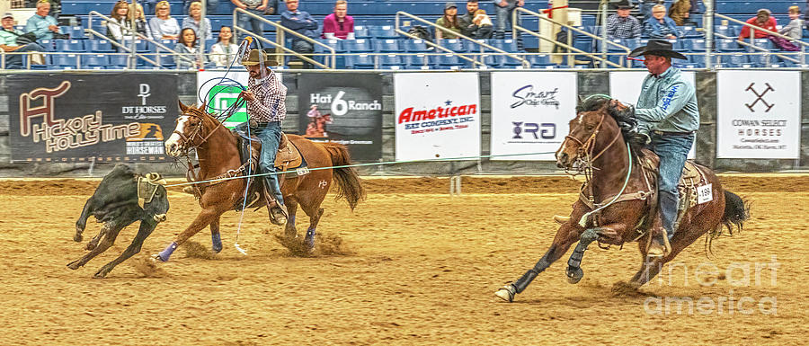 Scottsdale Photograph - Team Roping at Westworld by Priscilla Burgers