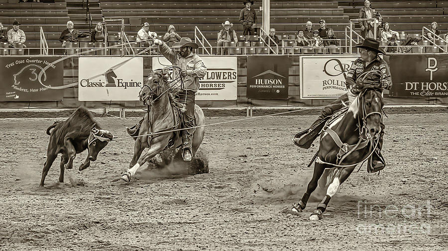 Team Roping the Steer Photograph by Priscilla Burgers