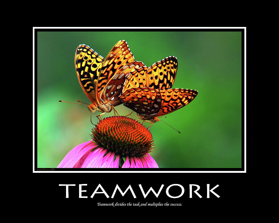 Teamwork Inspirational Motivational Poster Art Photograph by Christina Rollo