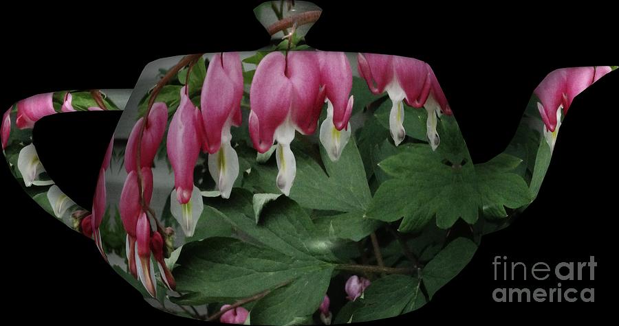 Teapot Floral Bleeding Hearts Photograph