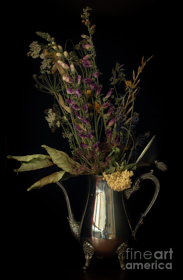 Teapot with Dried Flowers Still Life Reference Black Background Photograph by Pablo Avanzini