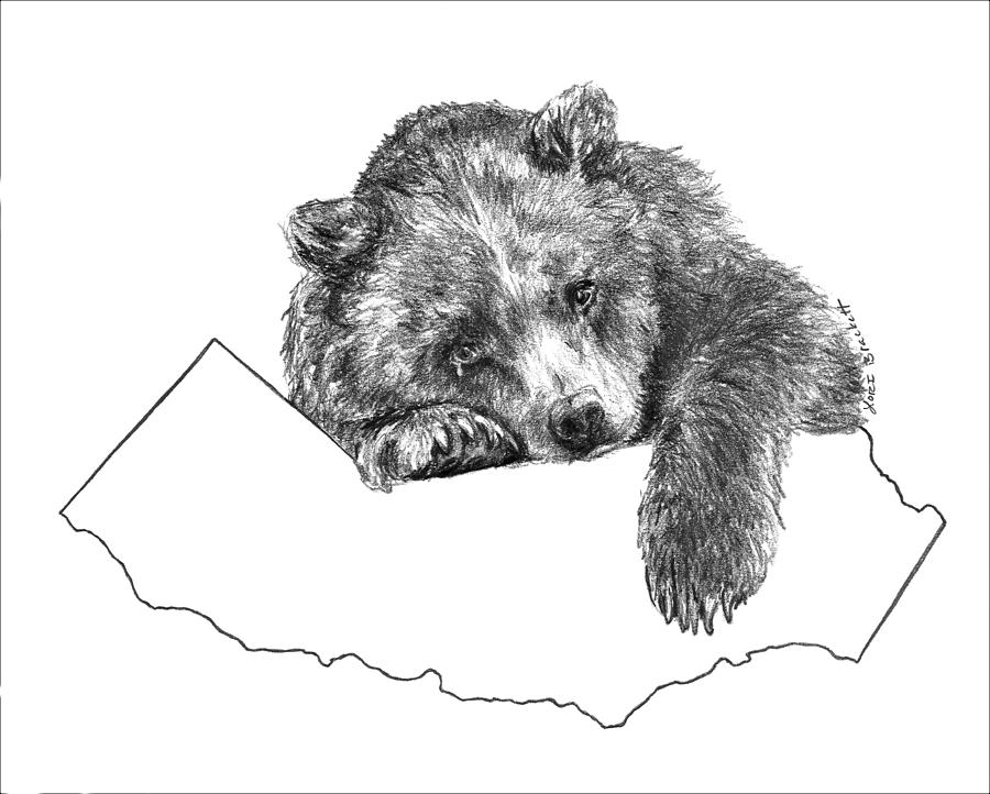Wildlife Drawing - Tears for California by Lori Brackett