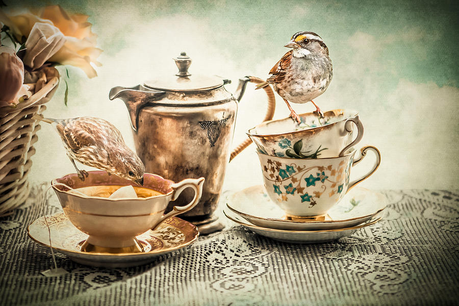 Still Life Photograph - Teatime for the Birds by Maggie Terlecki